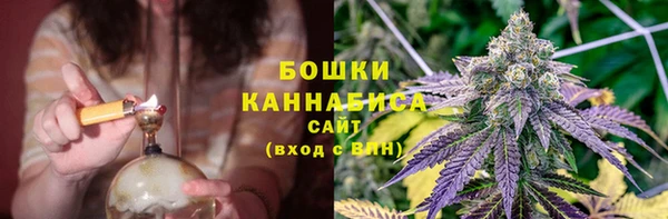 2c-b Богородицк