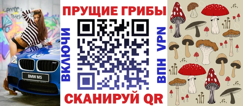 Псилоцибиновые грибы Psilocybe  Еманжелинск 