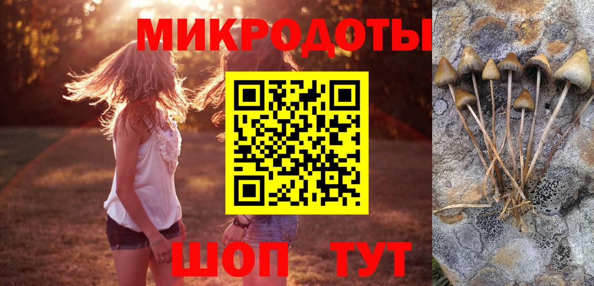 Галлюциногенные грибы MAGIC MUSHROOMS Еманжелинск